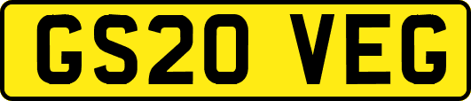 GS20VEG