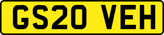 GS20VEH