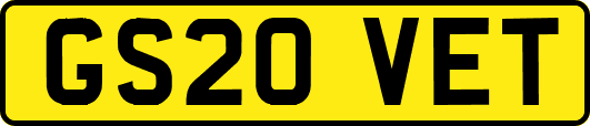 GS20VET