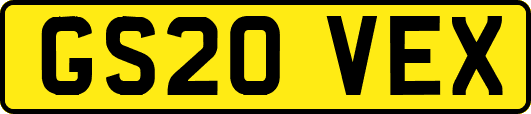 GS20VEX