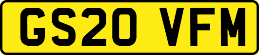 GS20VFM