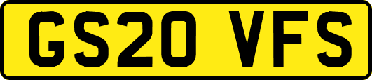 GS20VFS