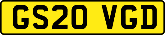 GS20VGD