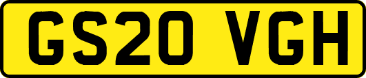 GS20VGH