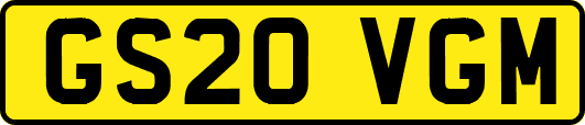 GS20VGM
