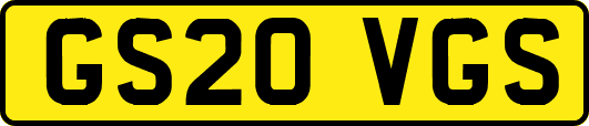 GS20VGS