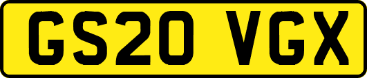 GS20VGX