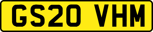 GS20VHM