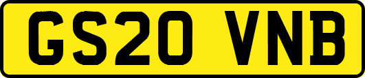 GS20VNB