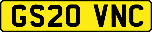 GS20VNC
