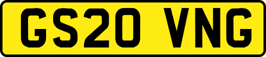 GS20VNG