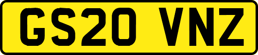 GS20VNZ