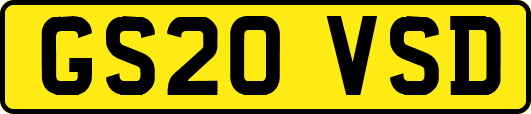 GS20VSD