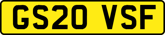 GS20VSF