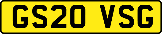 GS20VSG