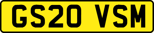 GS20VSM