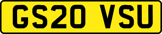 GS20VSU