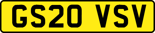GS20VSV