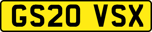 GS20VSX