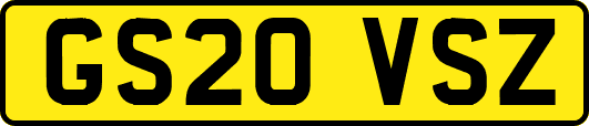 GS20VSZ