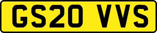 GS20VVS