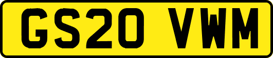 GS20VWM