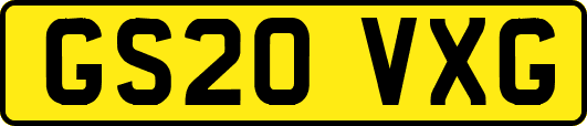 GS20VXG