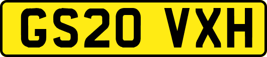GS20VXH