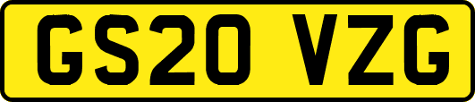 GS20VZG