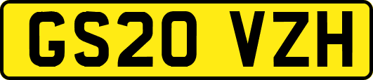 GS20VZH