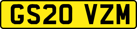 GS20VZM