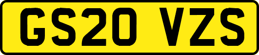 GS20VZS