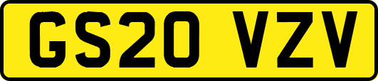 GS20VZV