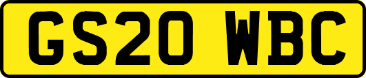 GS20WBC