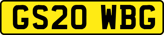 GS20WBG