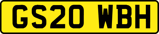 GS20WBH
