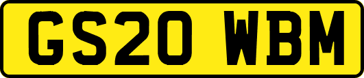 GS20WBM
