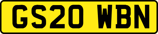 GS20WBN