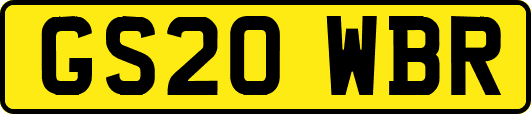 GS20WBR