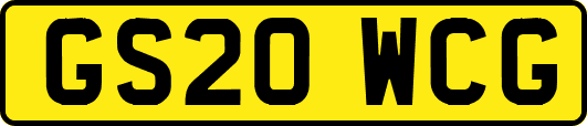 GS20WCG