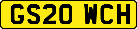 GS20WCH