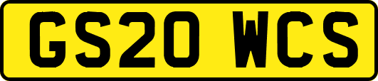 GS20WCS
