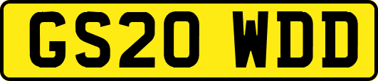 GS20WDD
