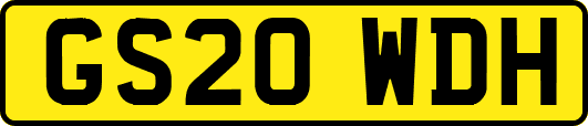 GS20WDH