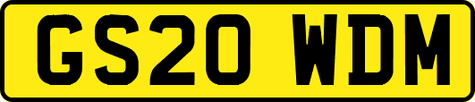 GS20WDM