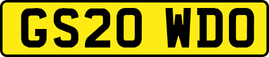 GS20WDO