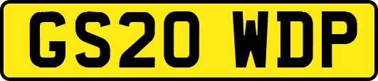 GS20WDP