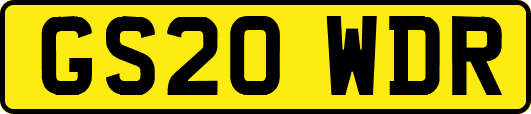 GS20WDR