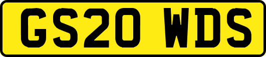 GS20WDS