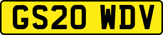 GS20WDV